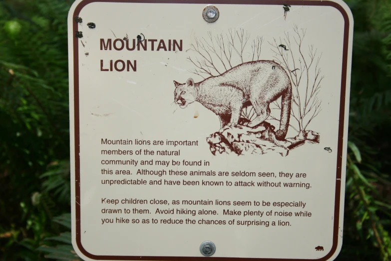 sign with information about the mountain lion