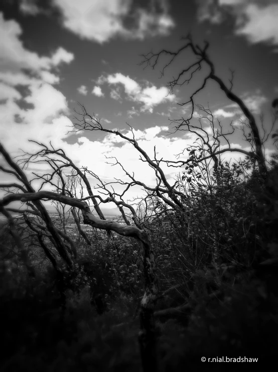 view from an open area of the sky with clouds