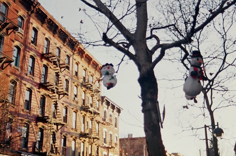 a group of hanging lanterns on a tree outside