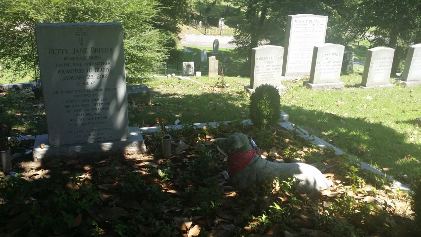 a dog laying in the grass near some tombstones