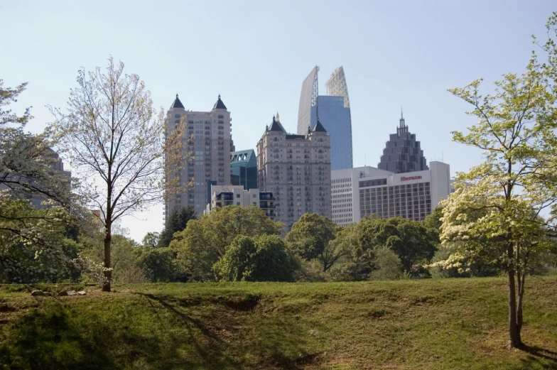 a park with a horse walking in it and trees surrounding the buildings