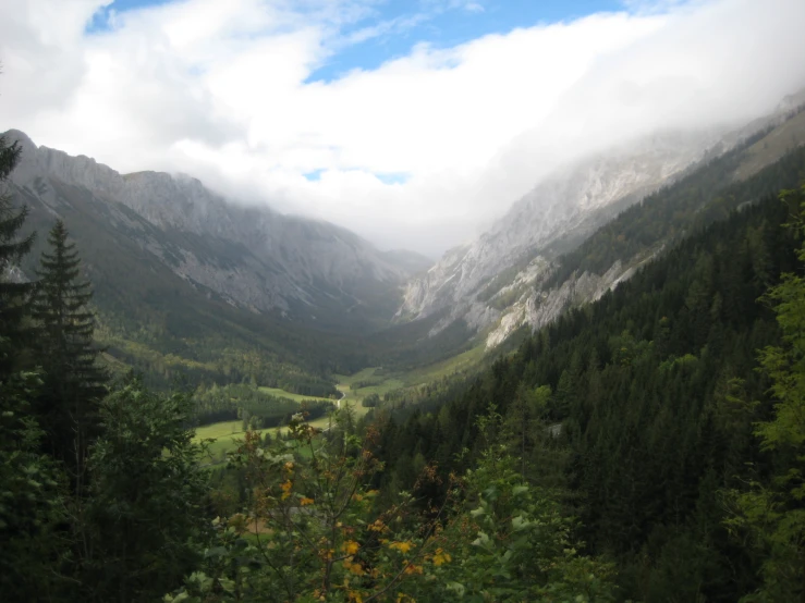 the beautiful landscape is on a very steep hill