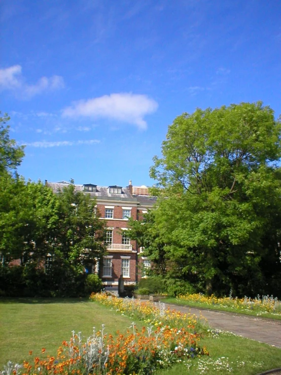 a large grassy field with yellow flowers and green trees