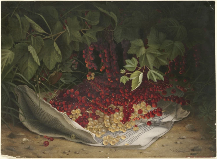 some raspberries, cherries, corn and bread on a table