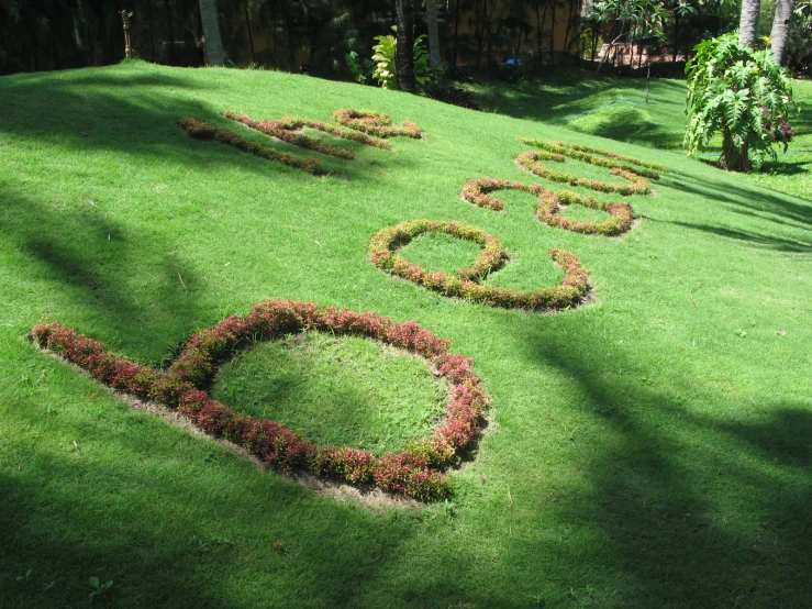 a lawn with the word love spelled out with plants