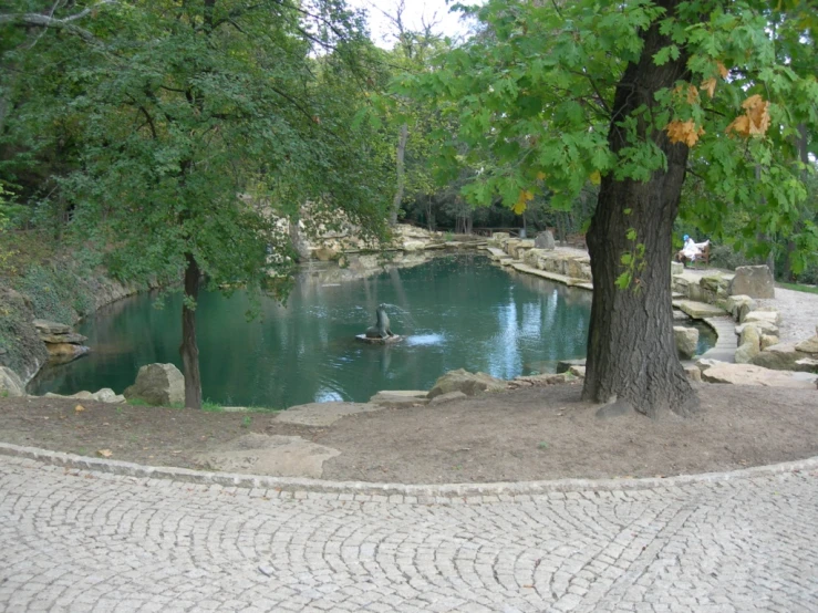 a circular circular stone path leading up to an outdoor pool surrounded by trees