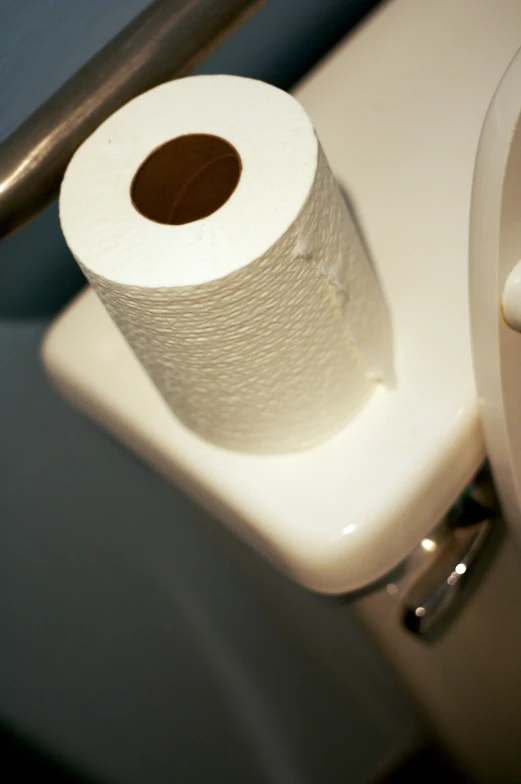 two toilet rolls sitting on a white toilet in a bathroom