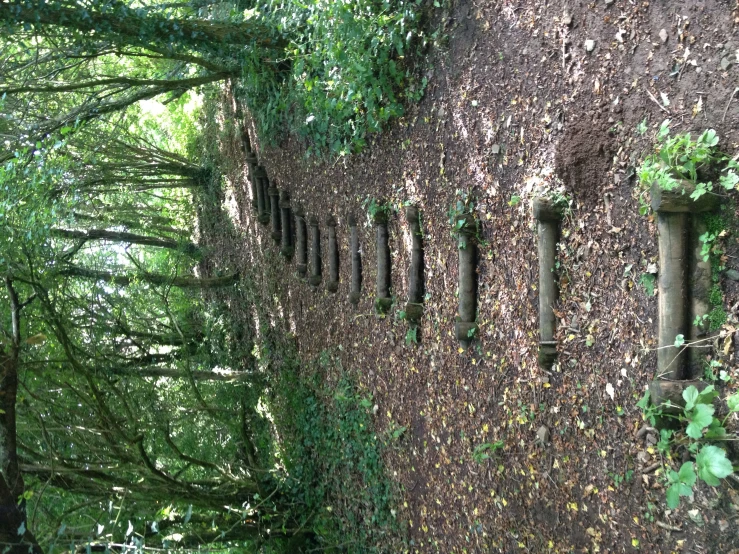 a long stone stairway with many steps going up