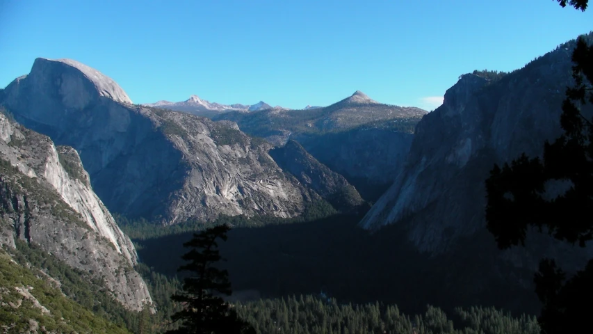 the mountains have different trees growing in them