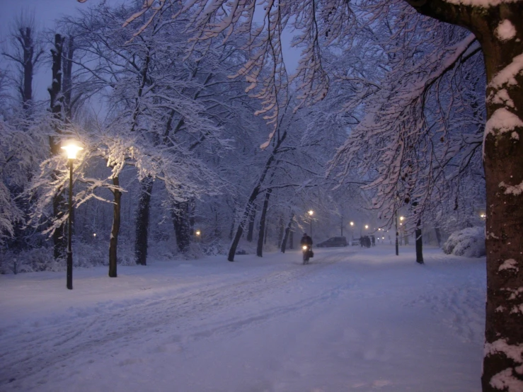 the person walks down the snow covered path towards light fixtures