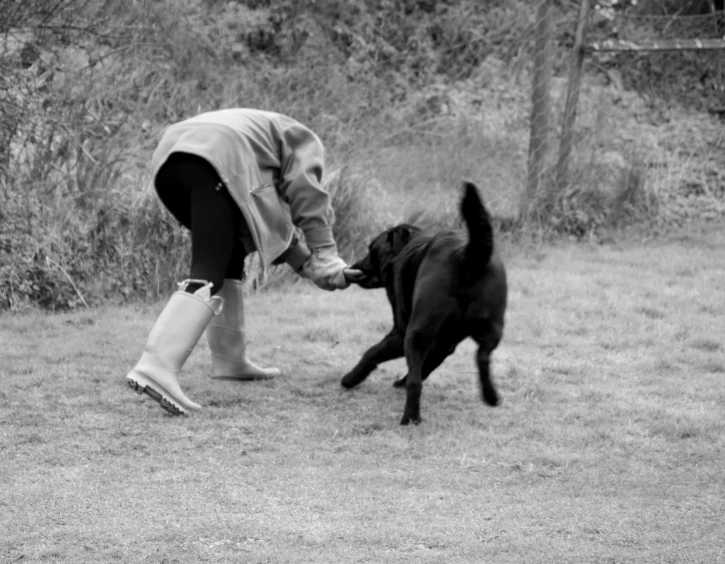 woman playing with her dog in the grass