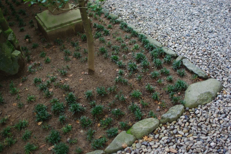 there are stones, rocks and a bench in the corner