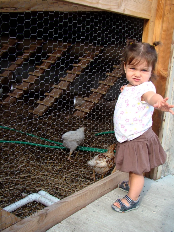 a little girl standing in front of chickens and chickens