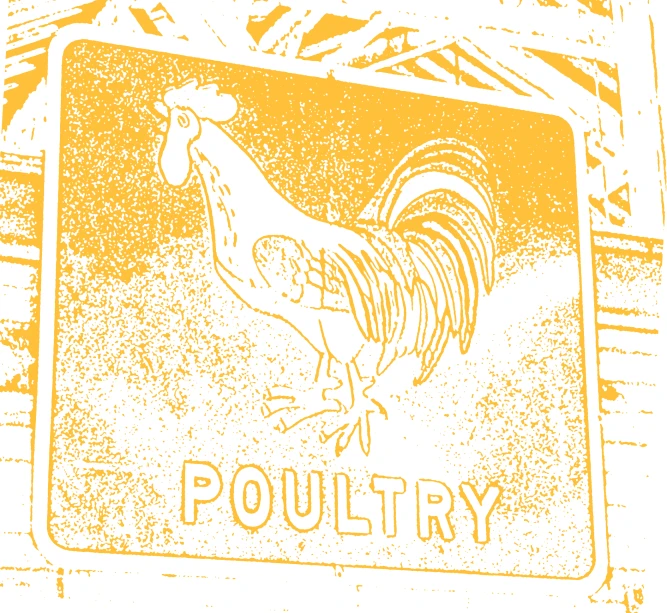 an image of poultry store sign with chicken logo