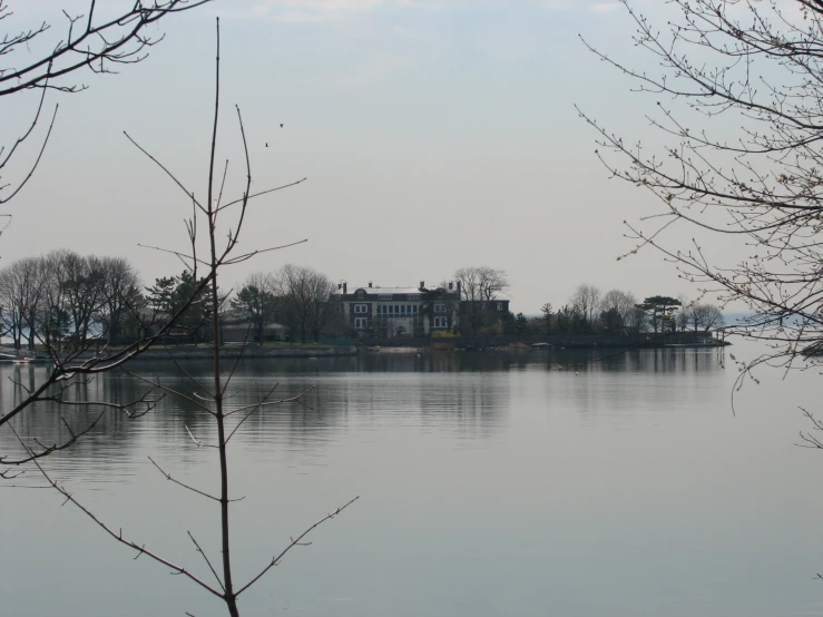 some trees are on the edge of the water