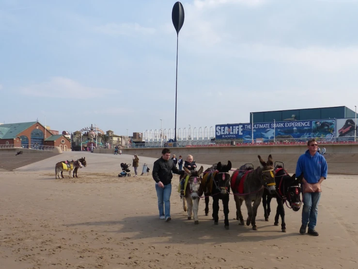 three men stand next to three horses at a city beach