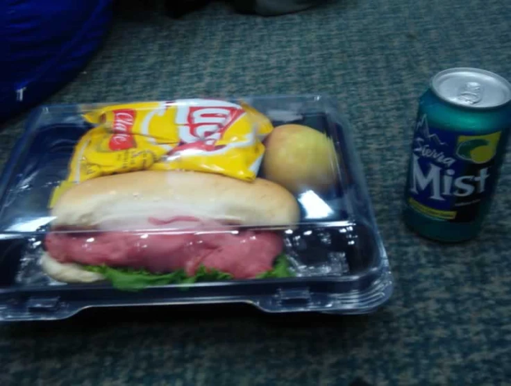 this lunch container contains sandwich, fruit, chips and drink
