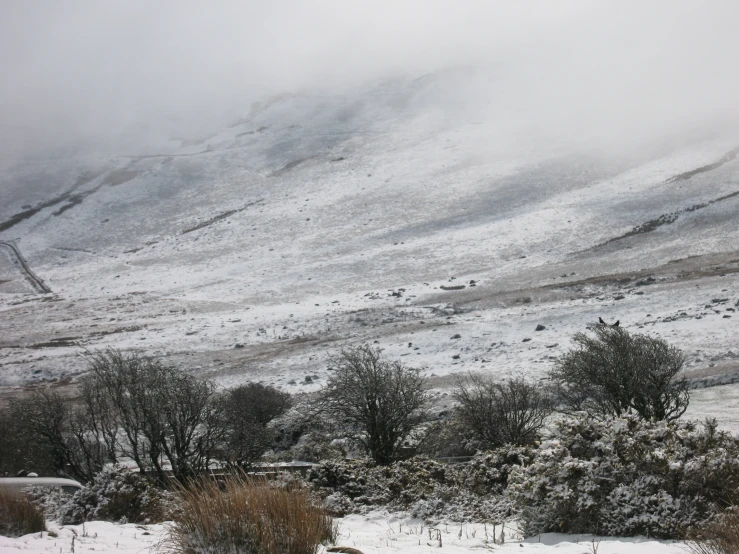 a hill covered in snow next to trees