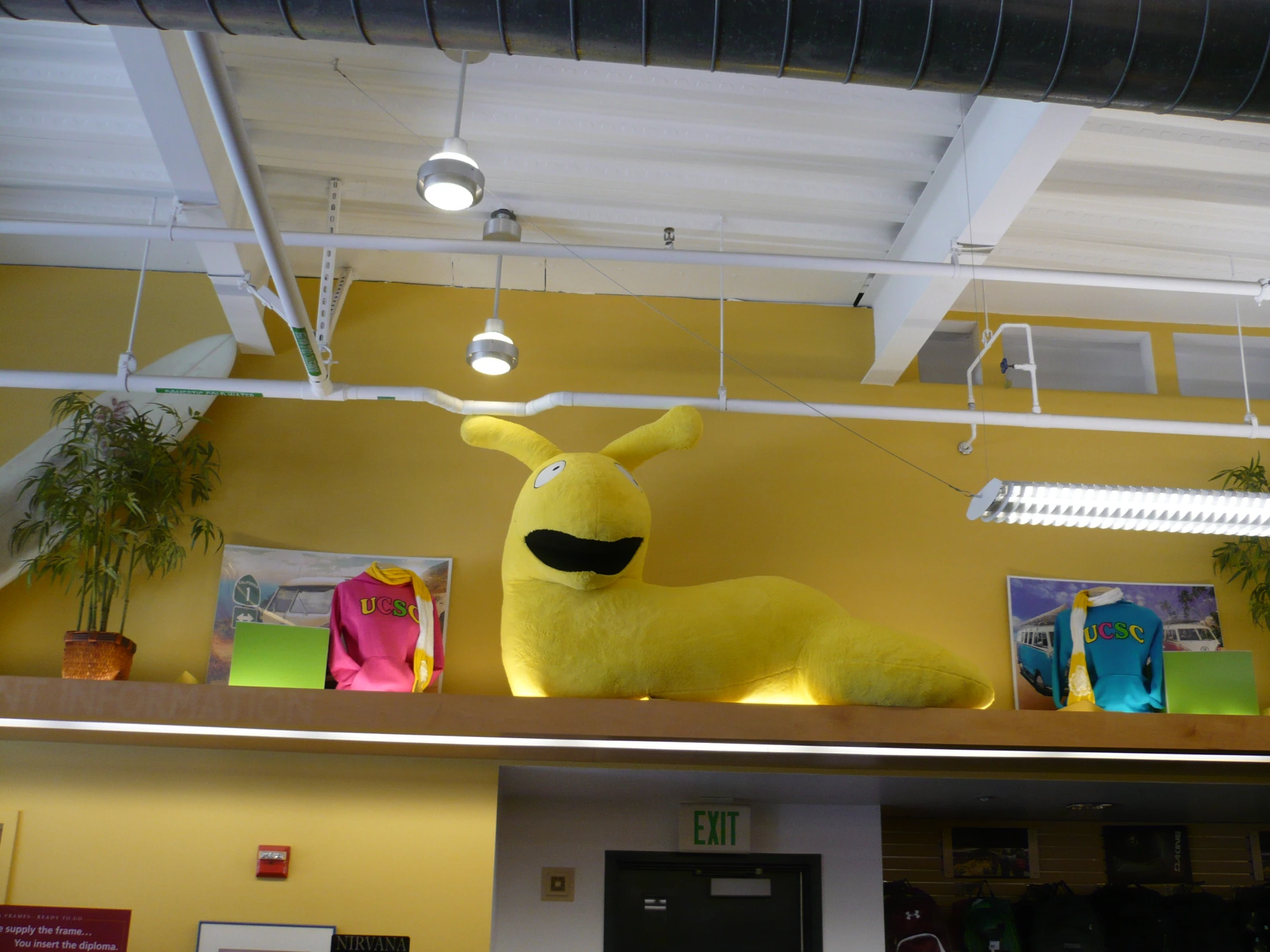 a stuffed bunny sitting on top of a shelf