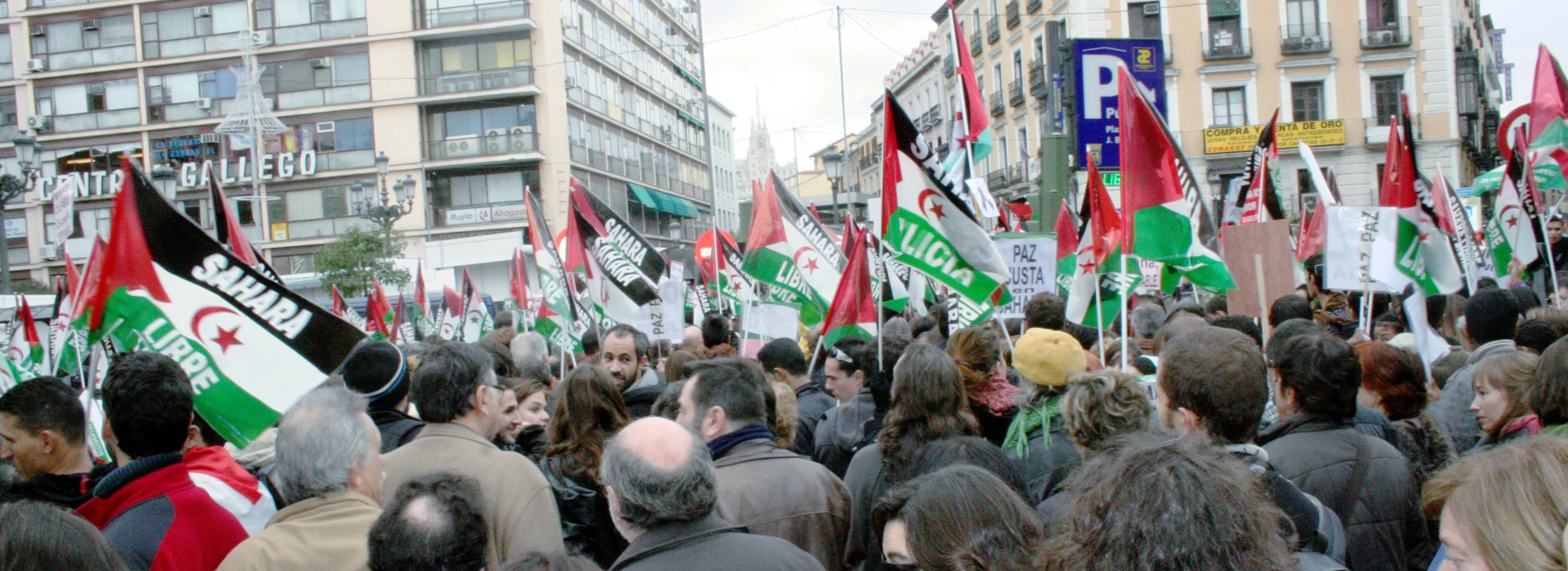 a large group of people standing outside holding flags