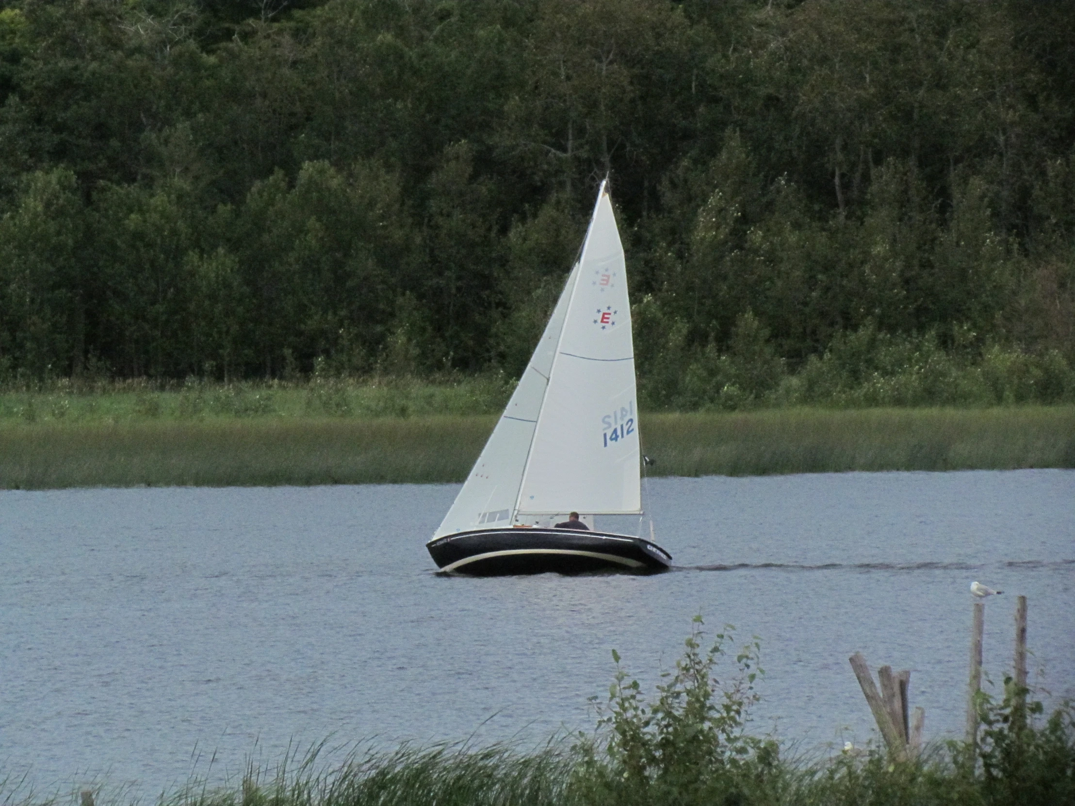 the small sailboat is in the water near the shore