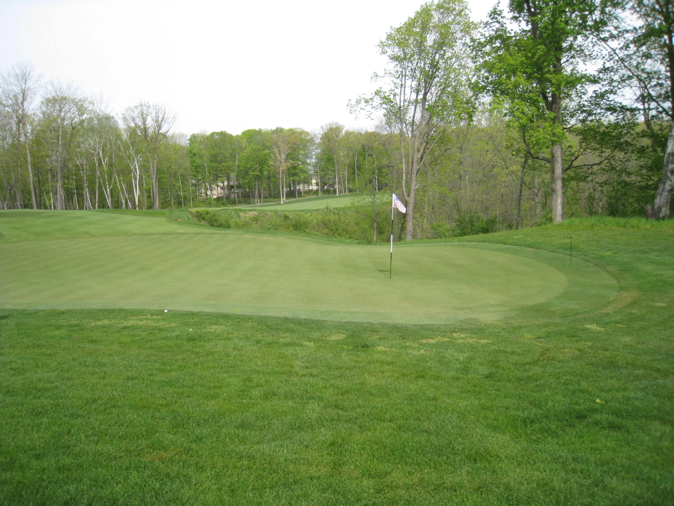 a golf green with trees in the background