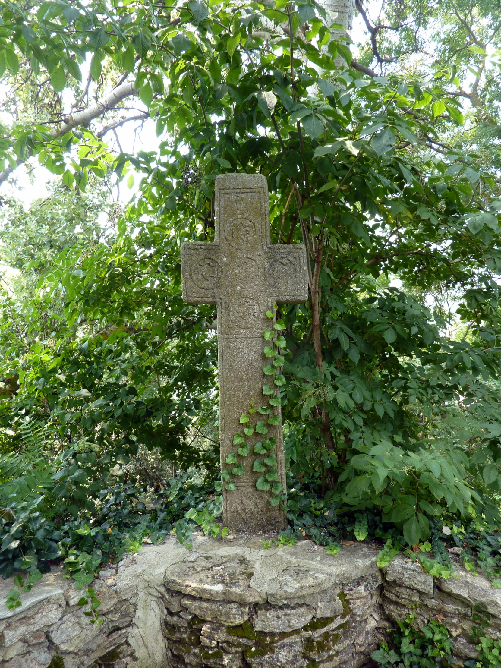 a cemetery stone cross with vines and a tree