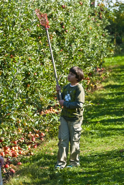 a boy holding a stick standing in a field of fruit