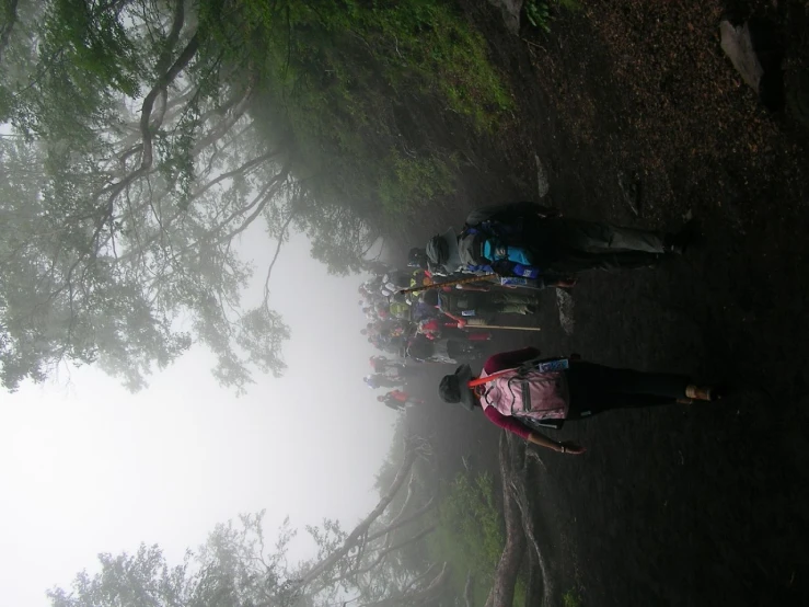 a group of people standing next to each other in the woods