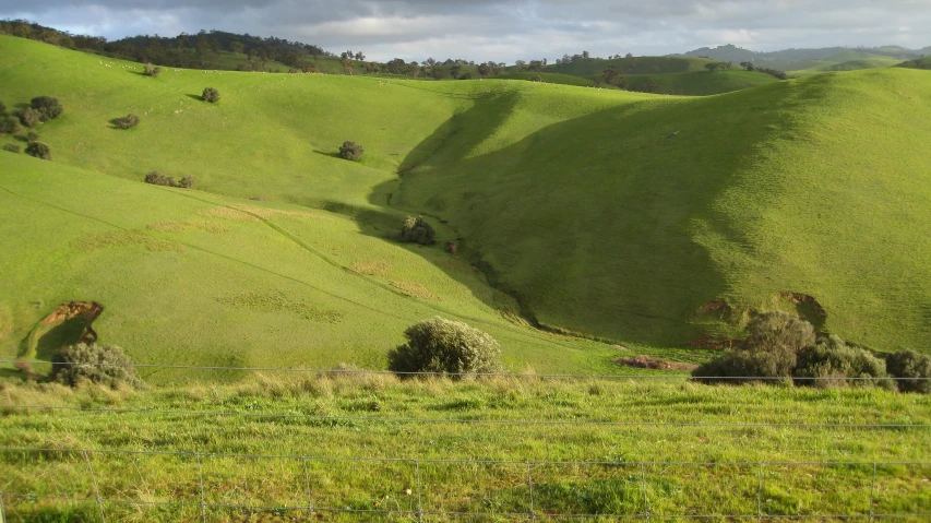 a green hillside with a wire fence and grass growing around