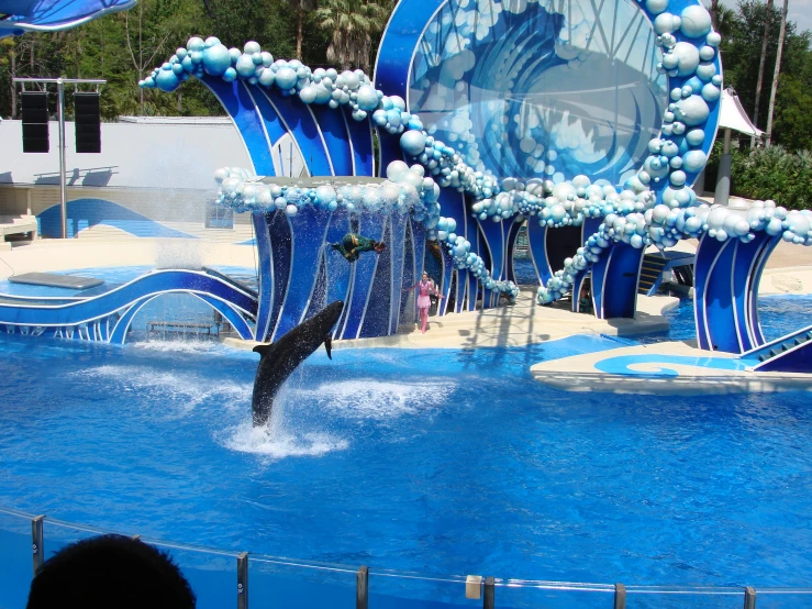 two people watching an artificial shark perform in water