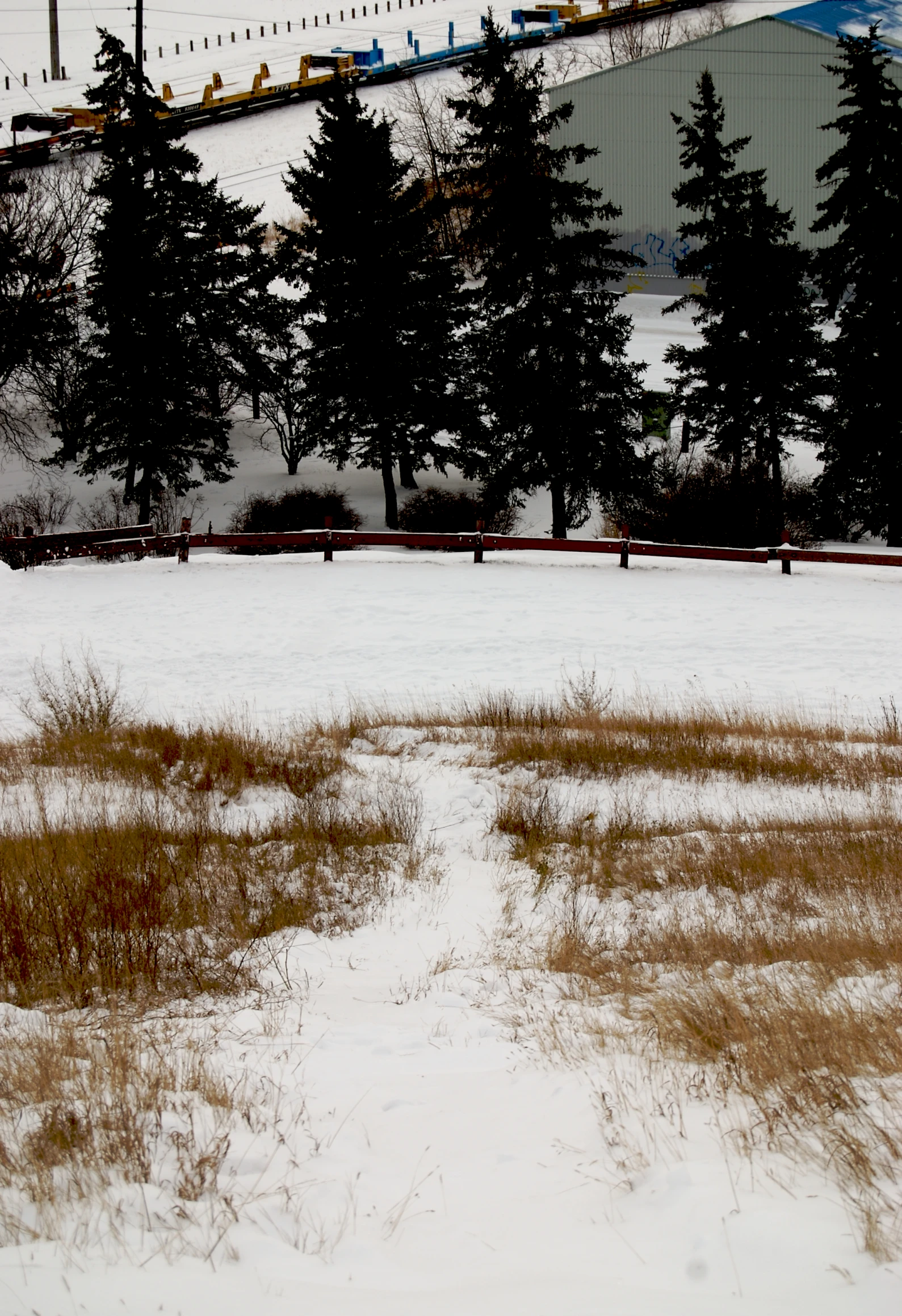 a field is covered with snow in front of some trees