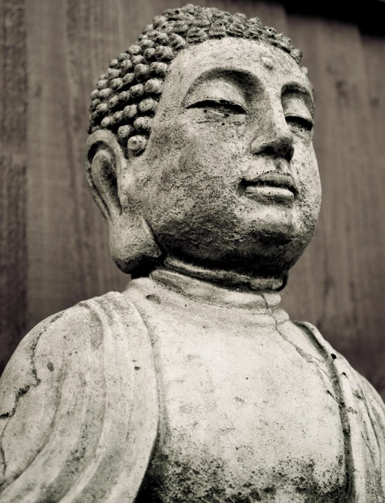 a statue of buddha standing against a wooden wall