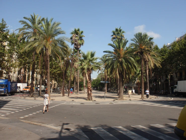 a woman is crossing an intersection with palm trees