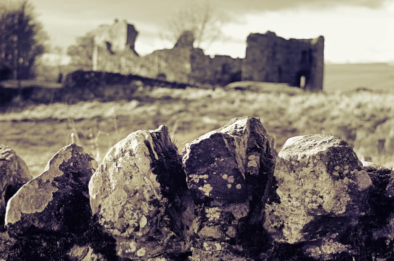 a stone fence is in a stone field