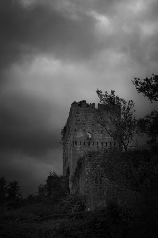 a castle in the middle of a hill surrounded by trees