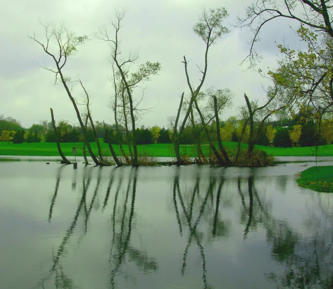 there is some water and trees in the foreground