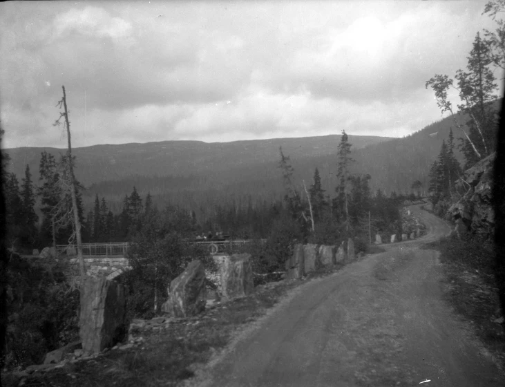 a dirt road through the woods with no cars