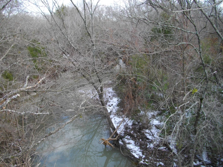 some snow trees water bushes and rocks