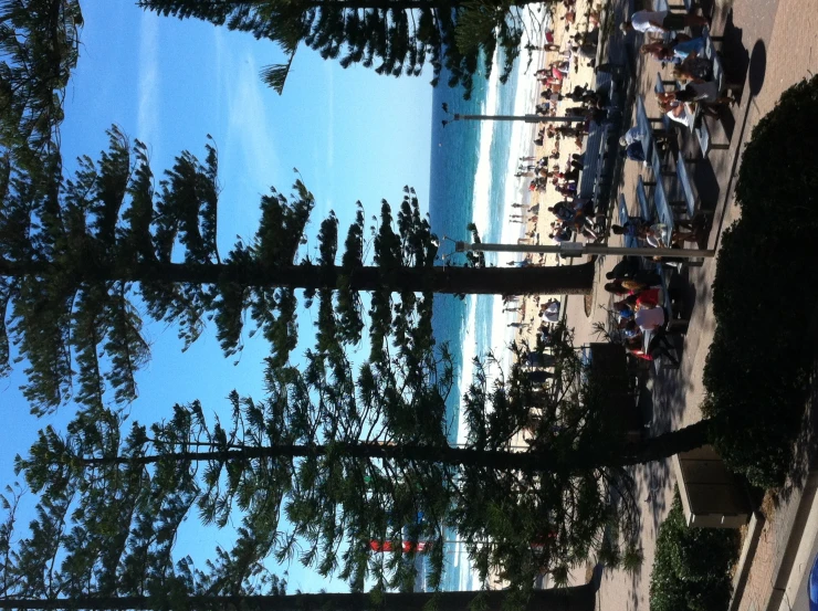 people sitting at picnic tables under some trees on the beach