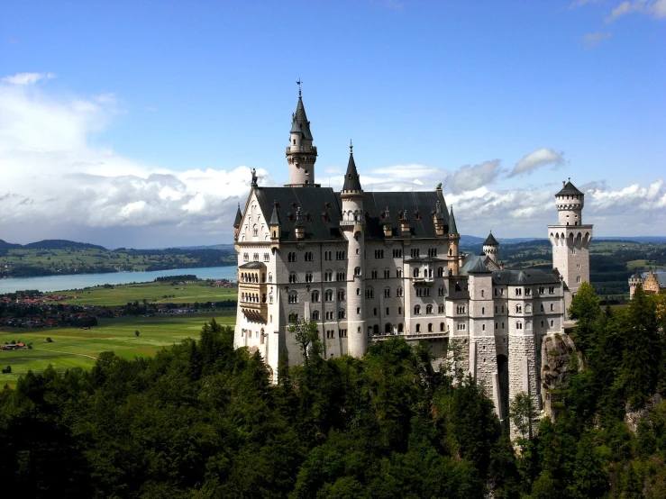 a castle perched on top of a forest