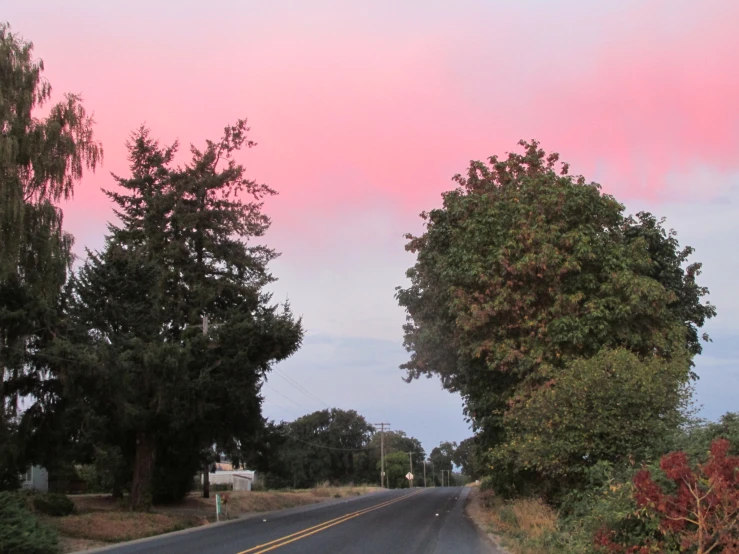 pink clouds loom over trees and roadway in residential area