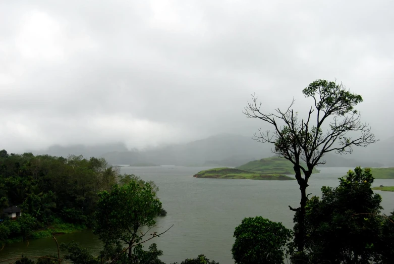 the lake is surrounded by trees and fog