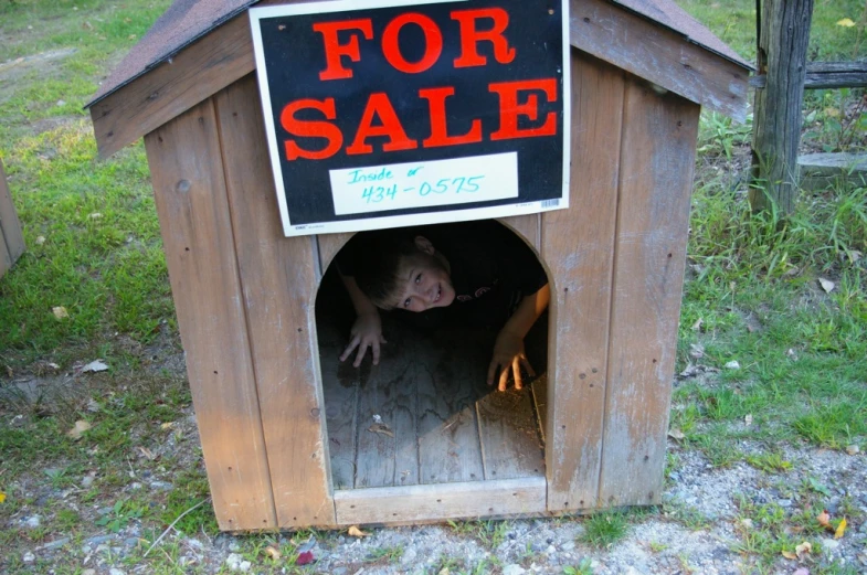 a man hiding in a doghouse for sale