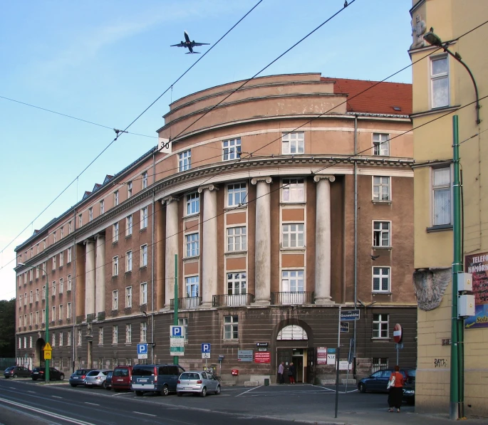 there is a bird flying over a street