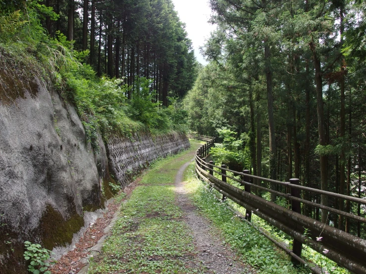 the path through a park with trees near by