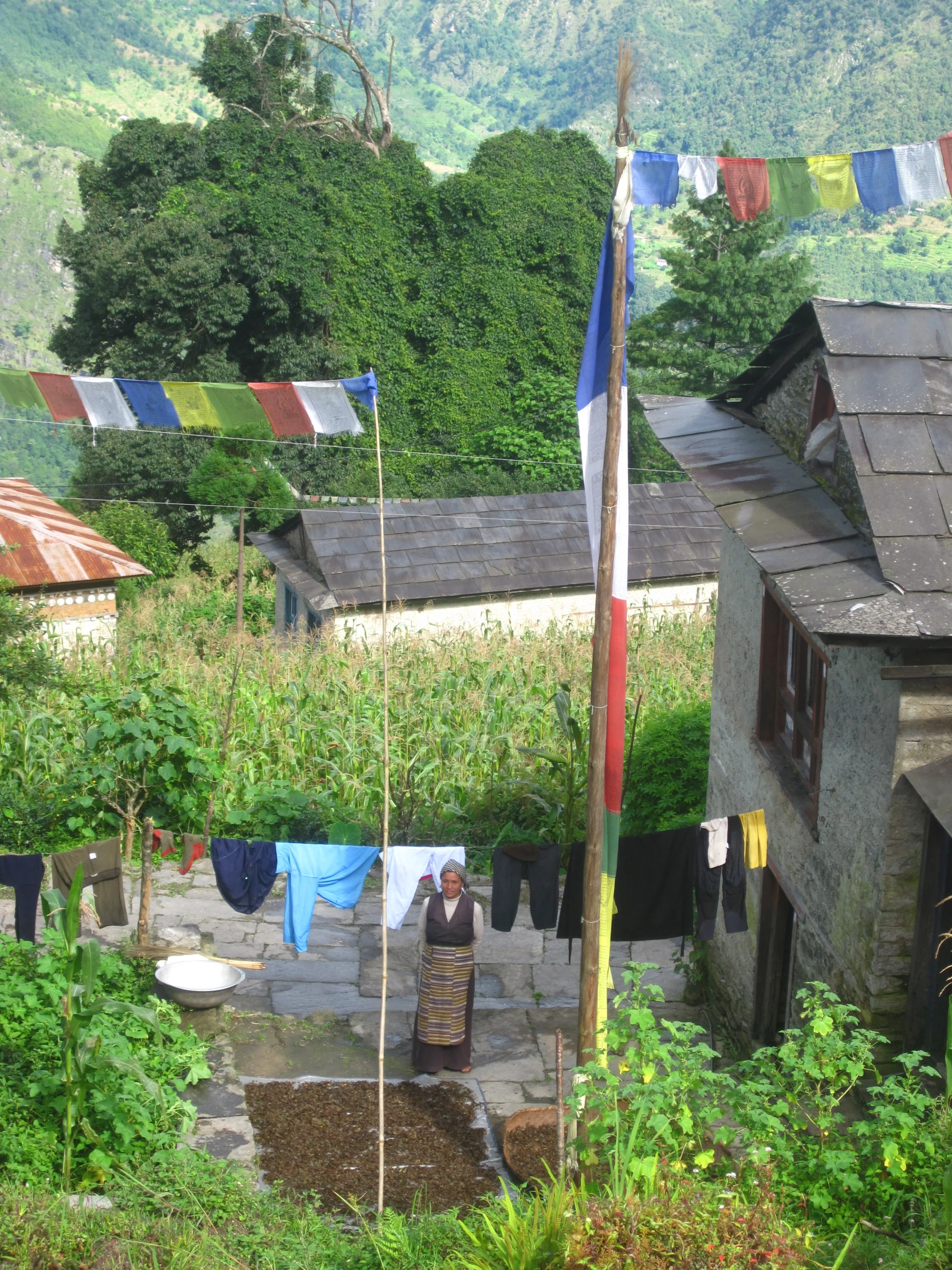 a view from a hill overlooking clothes hanging on a line