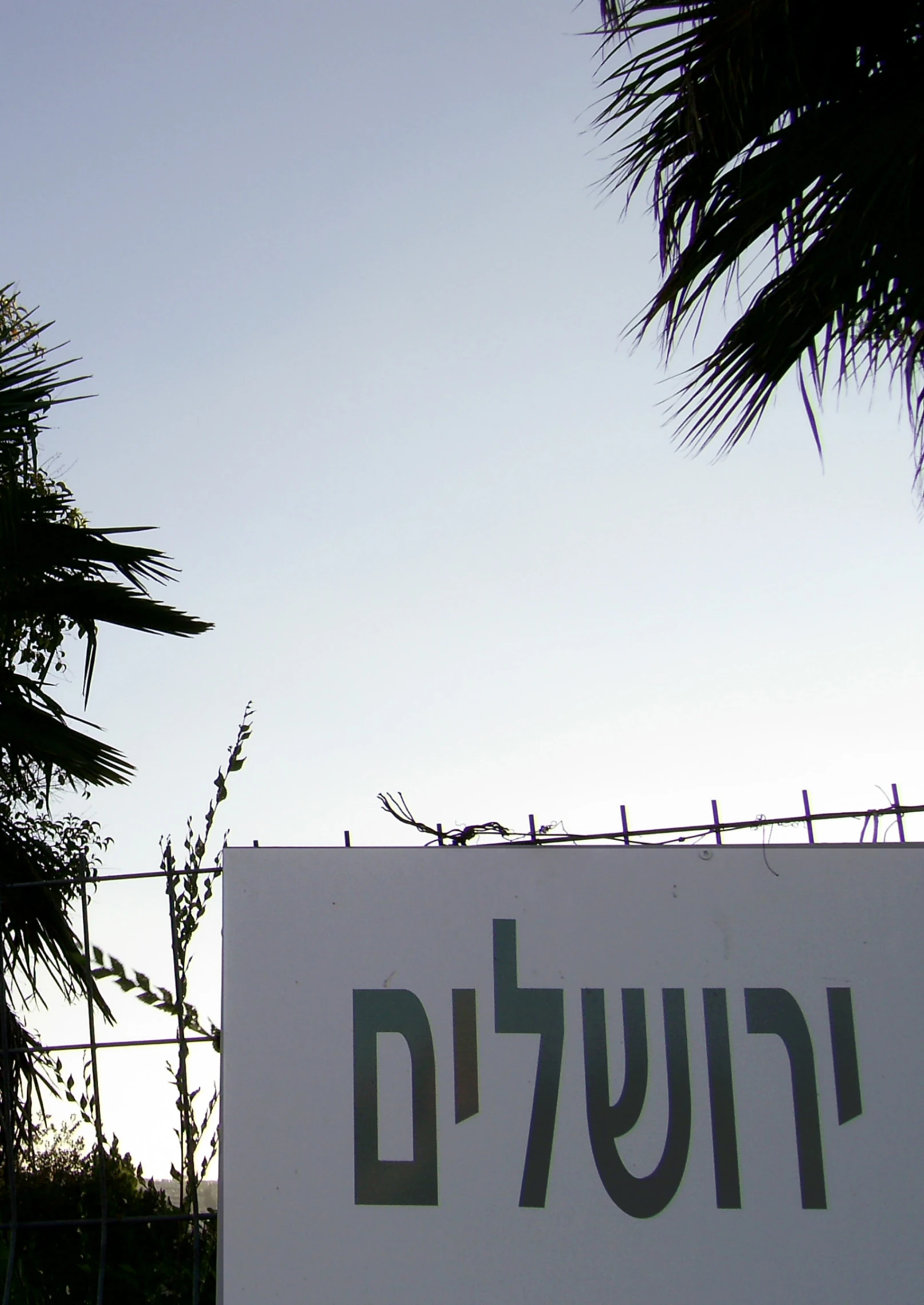 the sign in the foreground is pointing to a distant area with many palm trees