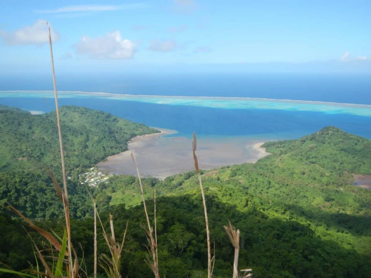 tropical vegetation and a view from top of the mountain