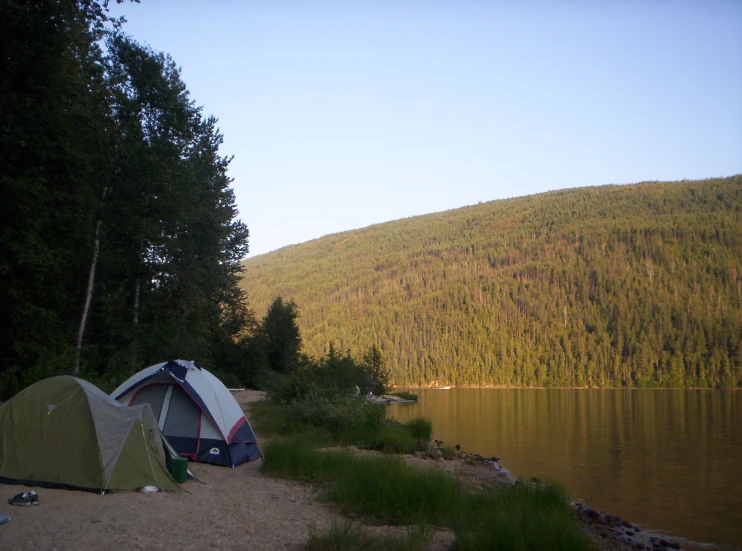 a group of tents that are sitting next to some trees